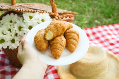 Doğada zaman geçirmek - piknik, piknik için aksesuarlar