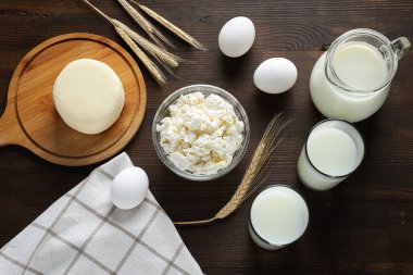 Lezzetli gıda kavramı - farklı süt ürünleri