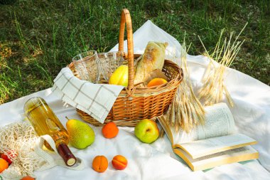 Doğada zaman geçirmek - piknik, piknik için aksesuarlar