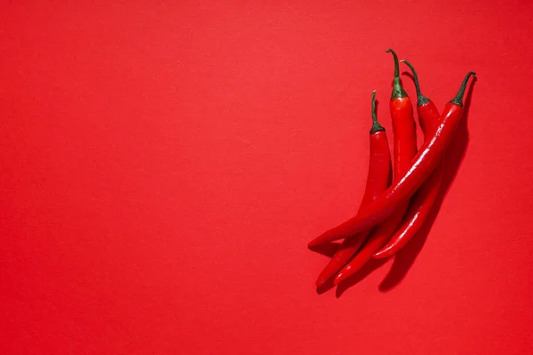 Concept of hot and spicy ingredients - red hot chili pepper