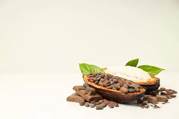 Concept Aliments Frais Aromatiques Fèves Cacao — Photo