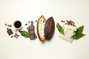 Taze ve aromatik gıda kavramı - kakao fasulyesi