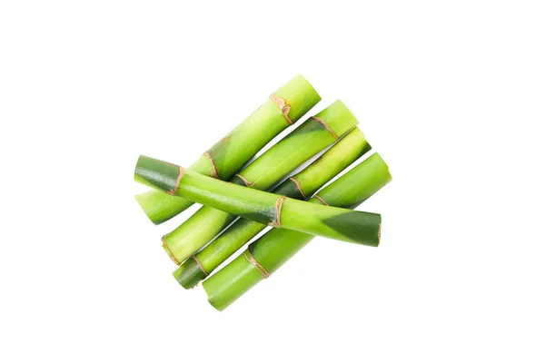 Png Koncept Rostliny Bambus Izolovaný Bílém Pozadí — Stock fotografie