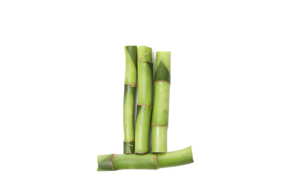 Png Concept Plante Bambou Isolé Sur Fond Blanc — Photo