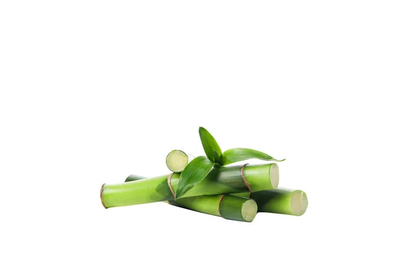 Png Concept Plant Bamboo Isolated White Background — Stock Photo, Image