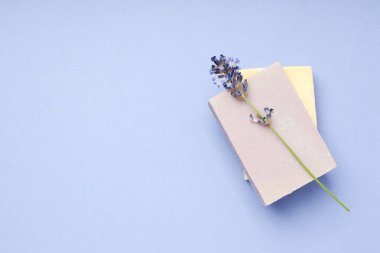 Cilt ve yüz bakımı kavramı, lavanta kozmetik