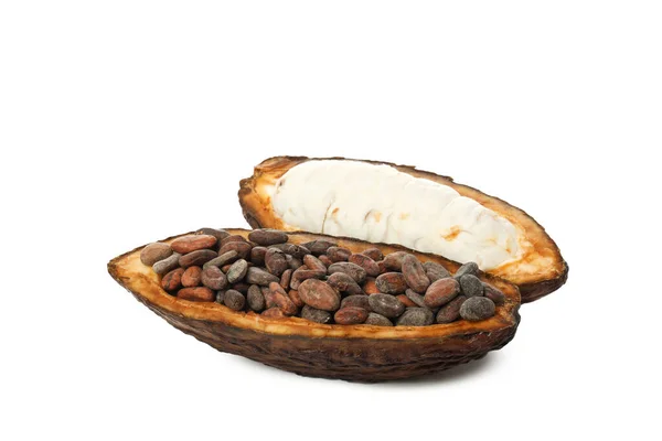Png チョコレートを作るための成分 ココア 白い背景に隔離された — ストック写真