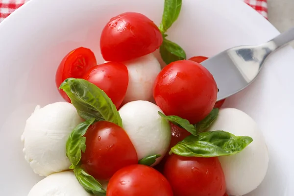 Концепция Вкусной Итальянской Кухни Капрезе Салат — стоковое фото