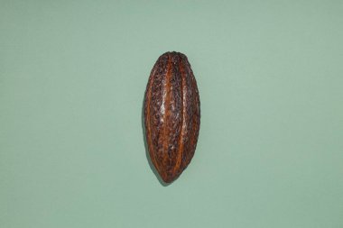 Taze ve aromatik gıda kavramı - kakao fasulyesi