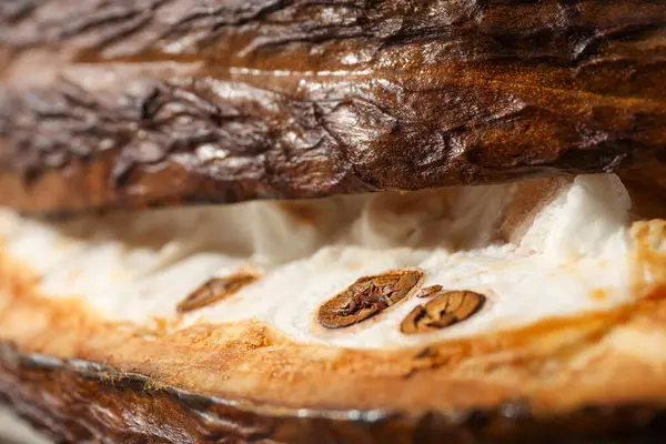 Konzept Der Frischen Und Aromatischen Lebensmittel Kakaobohnen — Stockfoto