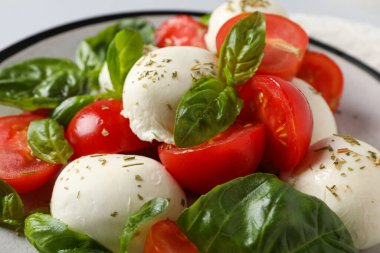 Lezzetli İtalyan mutfağı kavramı - Caprese salatası