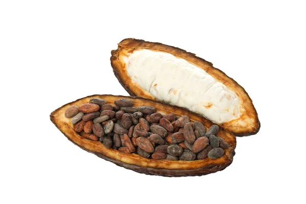 Png Összetevő Csokoládé Kakaó Elszigetelt Fehér Alapon — Stock Fotó