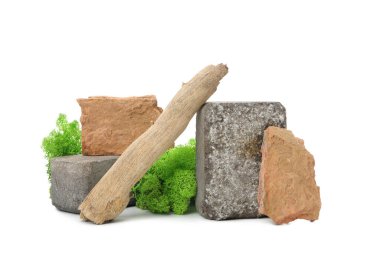 PNG fotoğrafı, beyaz arkaplanda yalıtılmış Moss