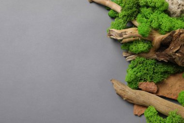 Gri arkaplanda tahta ve taşlı yosun, metin için boşluk