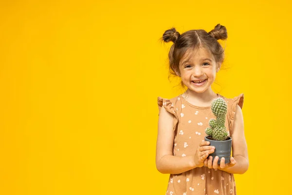 Een Klein Meisje Met Een Cactus Haar Handen Een Beer — Stockfoto