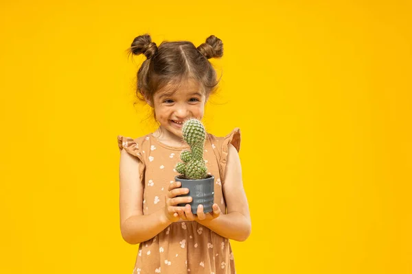 Een Klein Meisje Met Een Cactus Haar Handen — Stockfoto