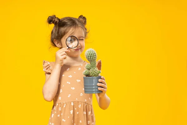 Een Klein Meisje Kijkt Naar Een Cactus Onder Een Vergrootglas — Stockfoto