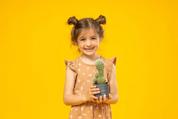 Een Klein Meisje Met Een Cactus Haar Handen — Stockfoto