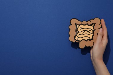 Sağlık ve iç organlar kavramı - bağırsaklar