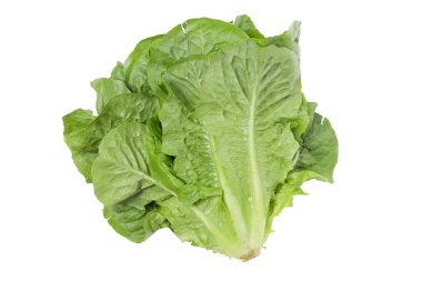 PNG, taze yaz yemeği. Beyaz arka planda marul.