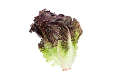 PNG, taze yaz yemeği. Beyaz arka planda marul.