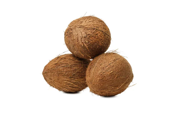 Png Coconut — 스톡 사진