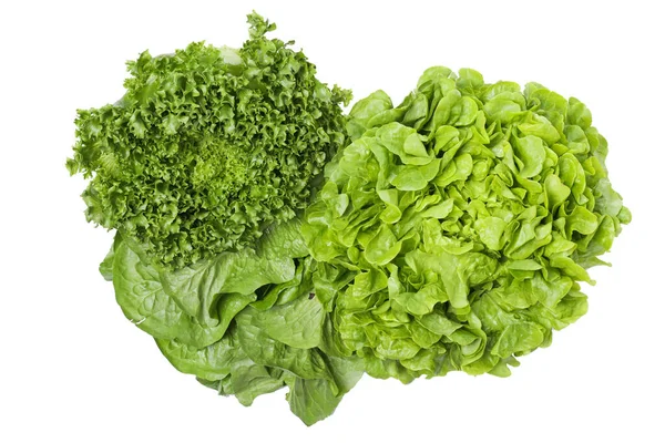 Png Fresh Summer Food Lettuce Isolated White Background — Stock Photo, Image