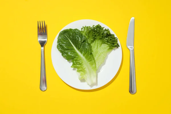 Begrip Vers Zomervoedsel Sla Salade — Stockfoto