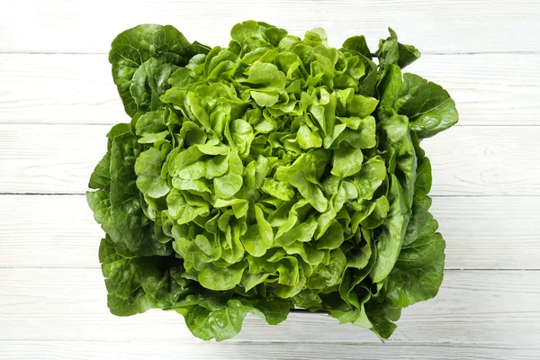 Concept Fresh Summer Food Lettuce Salad — Stock Photo, Image