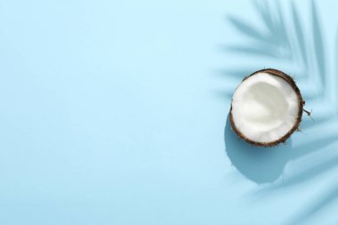 Üst manzara, mavi arkaplanda bir palmiye ağacının gölgesinde hindistan cevizinin yarısı, metin için yer