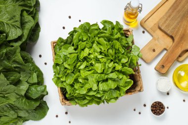 Taze ve yeşil gıda kavramı - marul