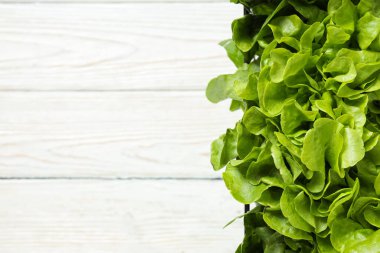 Taze ve yeşil gıda kavramı - marul