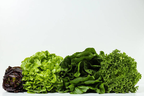 Concept of fresh and green food - lettuce