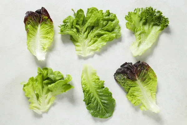 Concept Fresh Green Food Lettuce — Stock Photo, Image