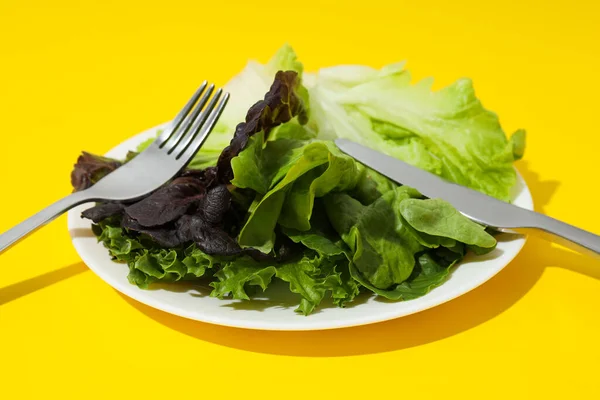 stock image Concept of fresh and green food - lettuce