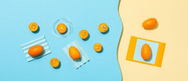 Yaz mevsimi kavramı ve taze karpuz