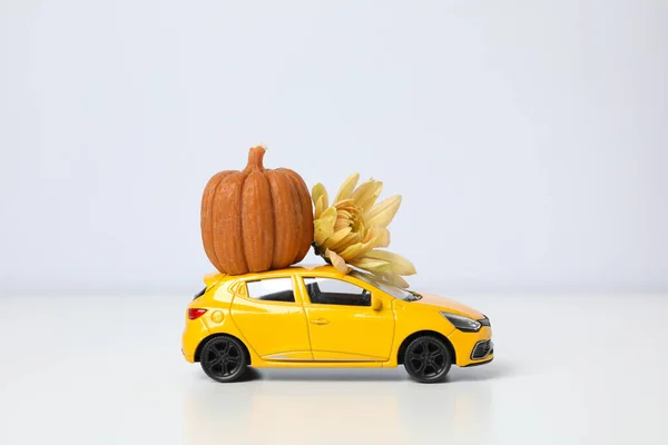 Toy Car Pumpkin Flower Light Background — Stock Photo, Image