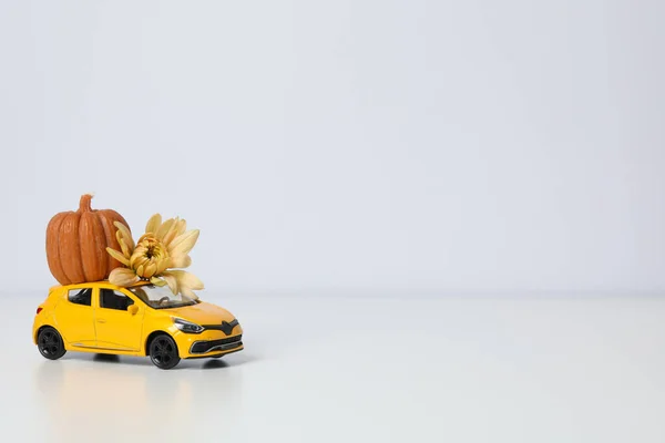 Carro Brinquedo Com Uma Abóbora Uma Flor Fundo Leve Lugar — Fotografia de Stock