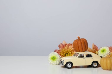 Sonbahar ya da sonbahar seyahati ve araba ile tatil kavramı