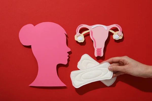 Pinkfarbene Weibliche Silhouette Profil Mit Menstruationshygieneartikeln — Stockfoto