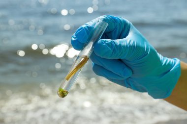 Mavi eldivenli, nehir suyu dolu bir test tüpü.