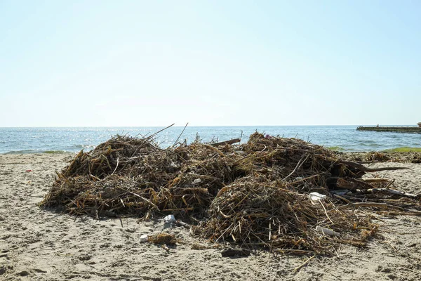 stock image Pollution of the water body with plastic waste and garbage