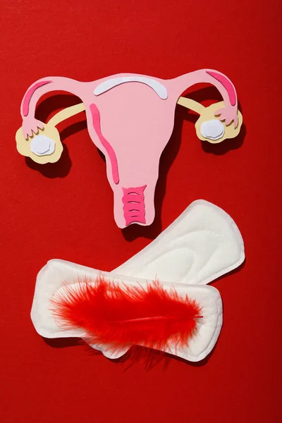 Menstruationspolster Mit Roten Federn Auf Rotem Hintergrund — Stockfoto