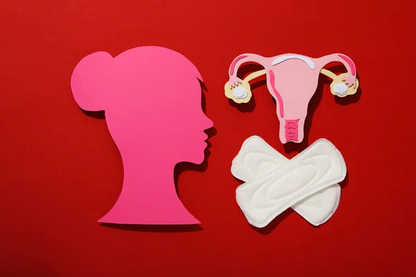 Mittel Zur Weiblichen Hygiene Während Der Menstruation Auf Rotem Hintergrund — Stockfoto