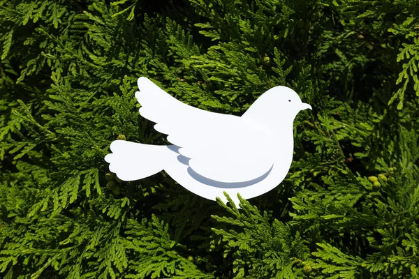 Międzynarodowy Dzień Pokoju Lub Światowy Dzień Pokoju Symbol Pokoju Gołąb — Zdjęcie stockowe