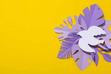 Uluslararası barış günü veya dünya barışı, barışın sembolü - güvercin