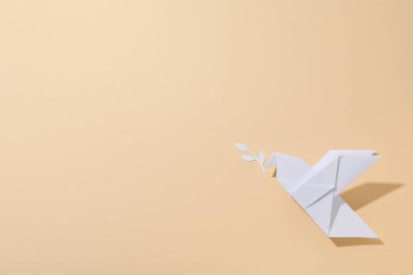 Uluslararası barış günü veya dünya barışı, barışın sembolü - güvercin