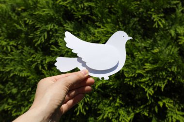 Uluslararası barış günü veya dünya barışı, barışın sembolü - güvercin