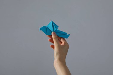 Uluslararası barış günü veya dünya barışı, barışın sembolü - güvercin