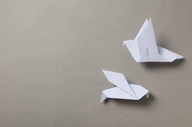 Uluslararası barış günü veya dünya barışı, barışın sembolü - güvercin